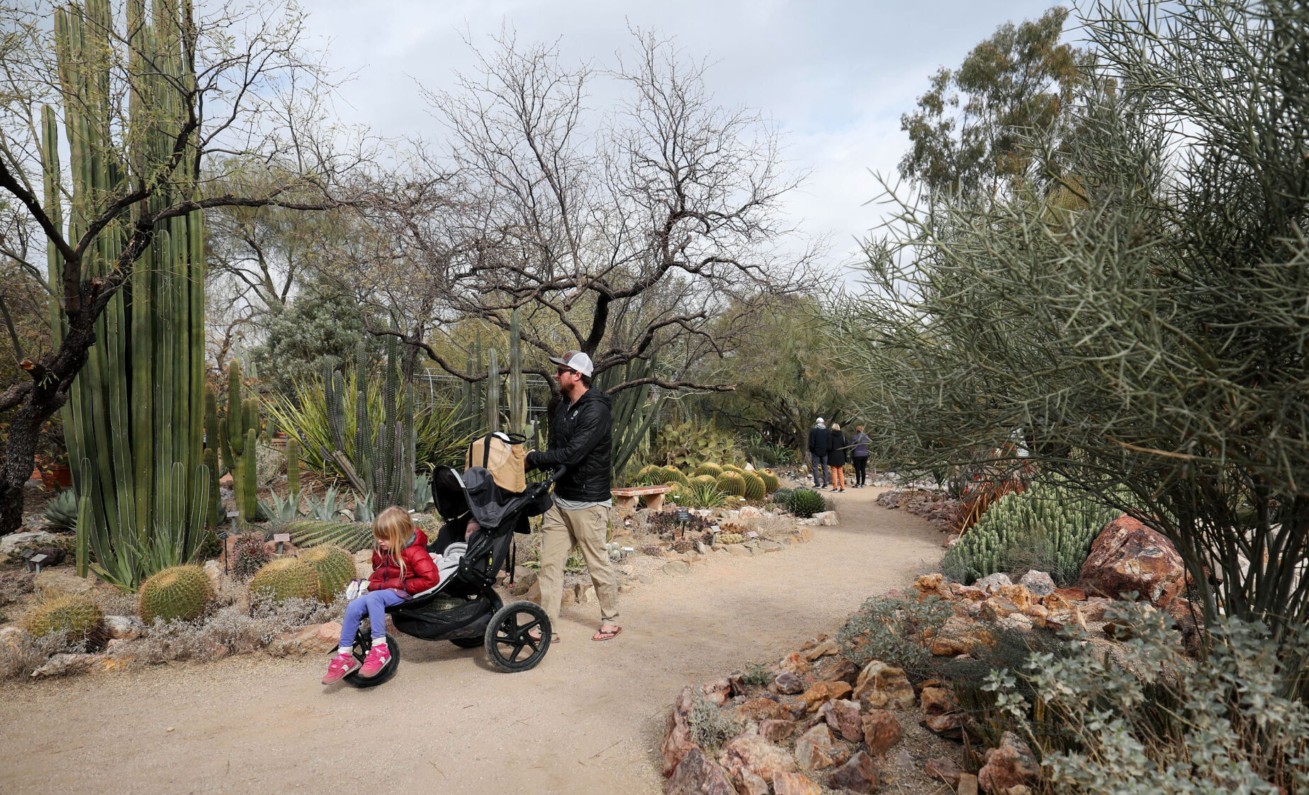 Botanical Gardens-p3.jpg